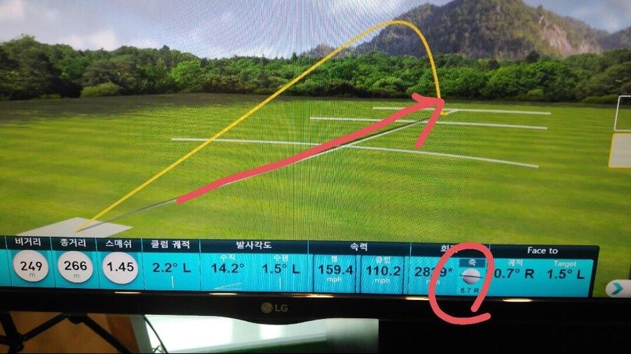 카지노 게임
