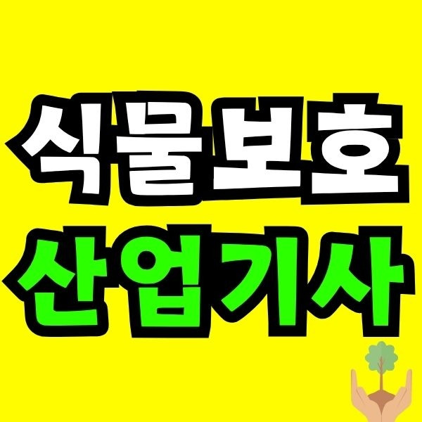 Green and Orange Creative Class Schedule (40).jpg