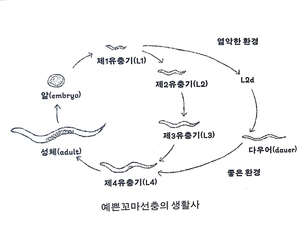 2025_09_18 오후 7_38 Office Lens.jpg