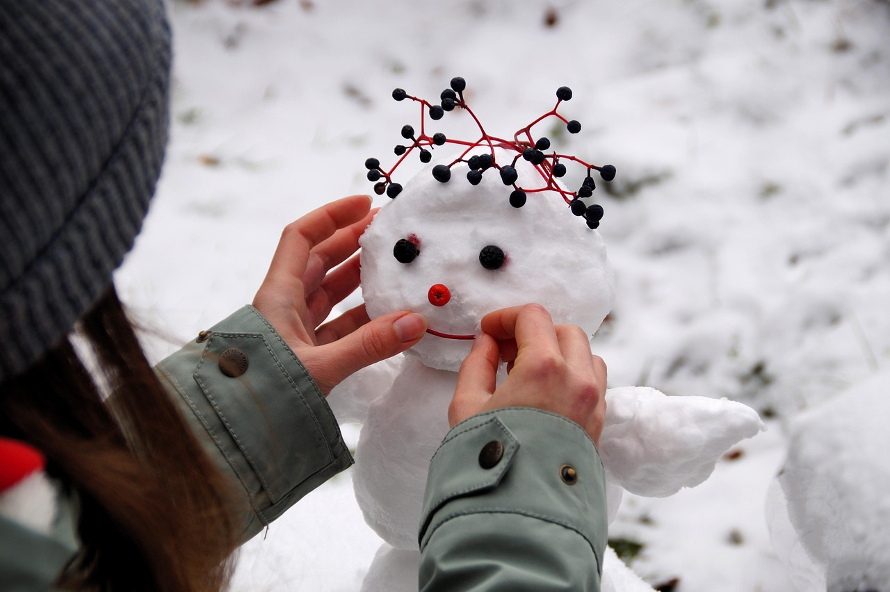 snowman-8413769_1280.jpg