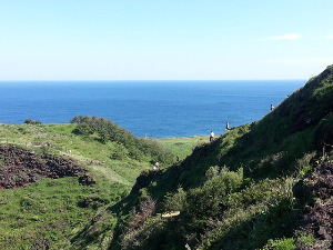 jeju-185134_640.jpg