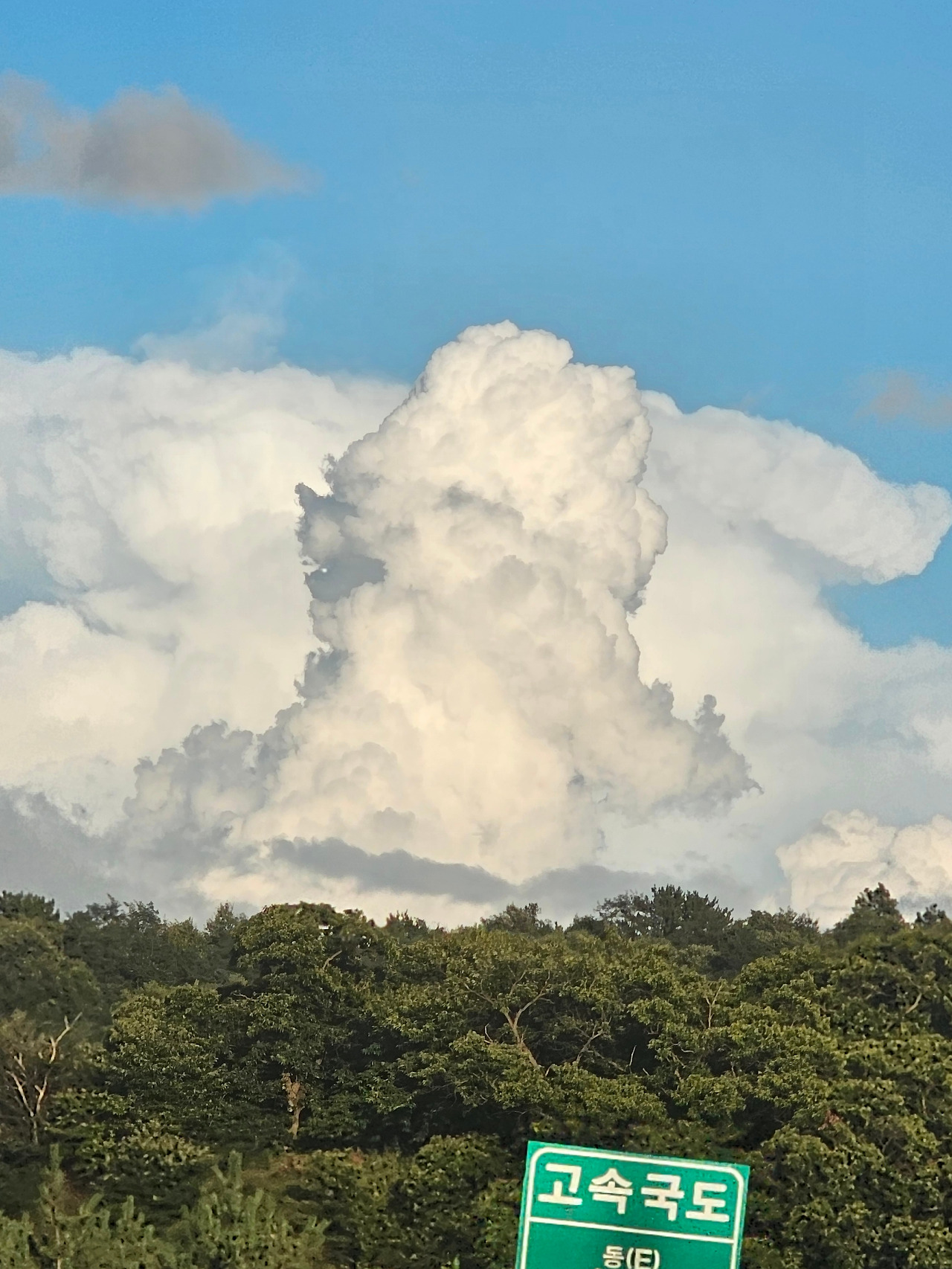 17. 넌 누구니.jpg