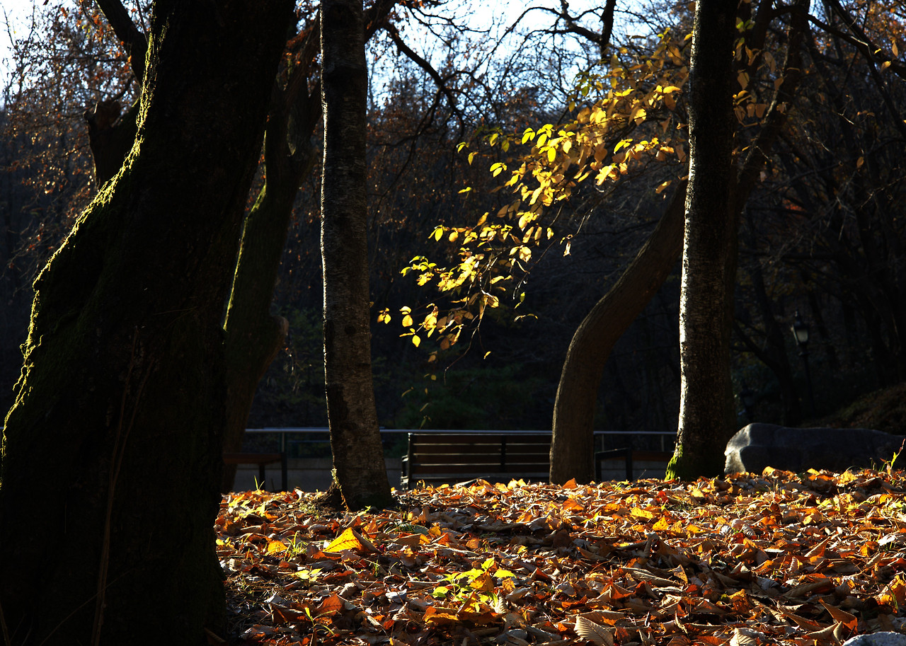 25.11 대성사 내여오는 길2.jpg