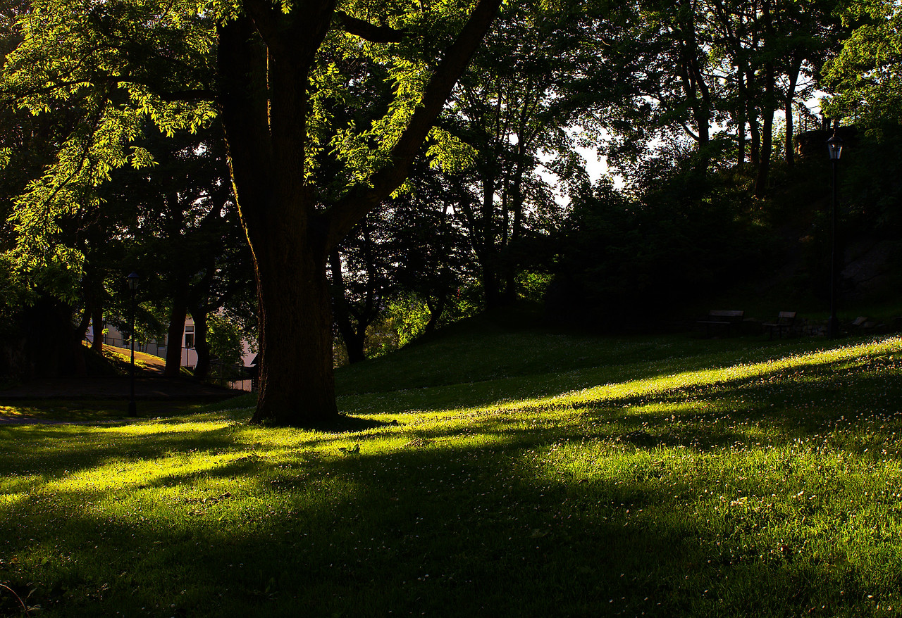 25.7 올레순 공원5 수정본.jpg