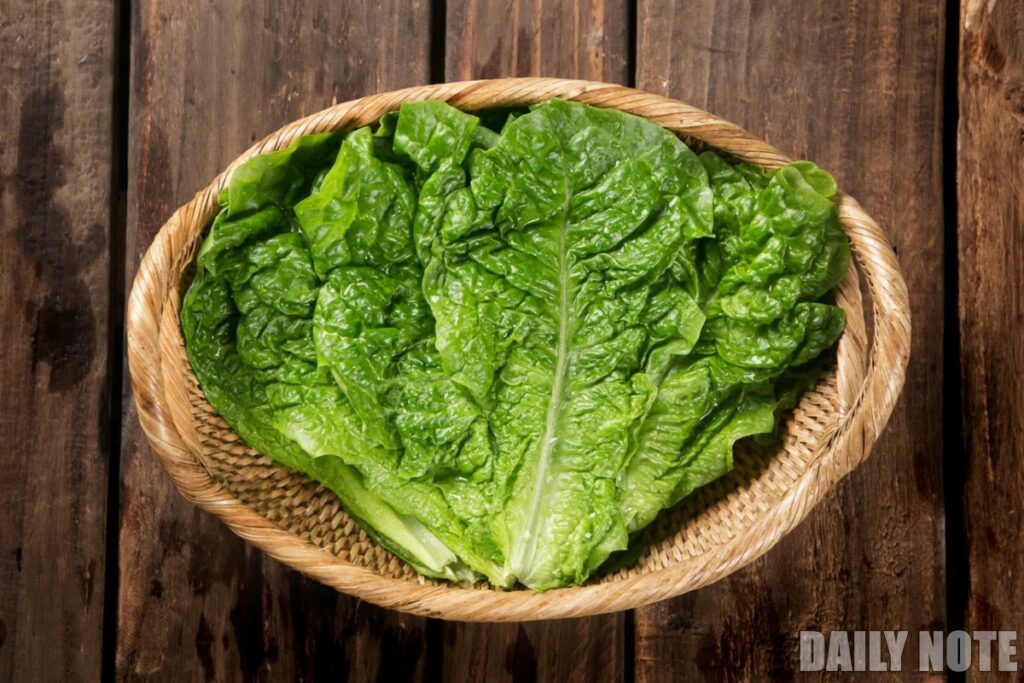 2Why-eating-lettuce-makes-you-sleepy-1024x683.jpg
