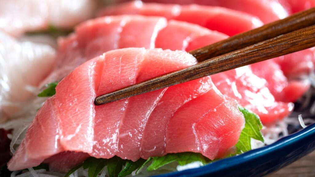 East-Coast-tuna-catches-surge-1024x576.jpg