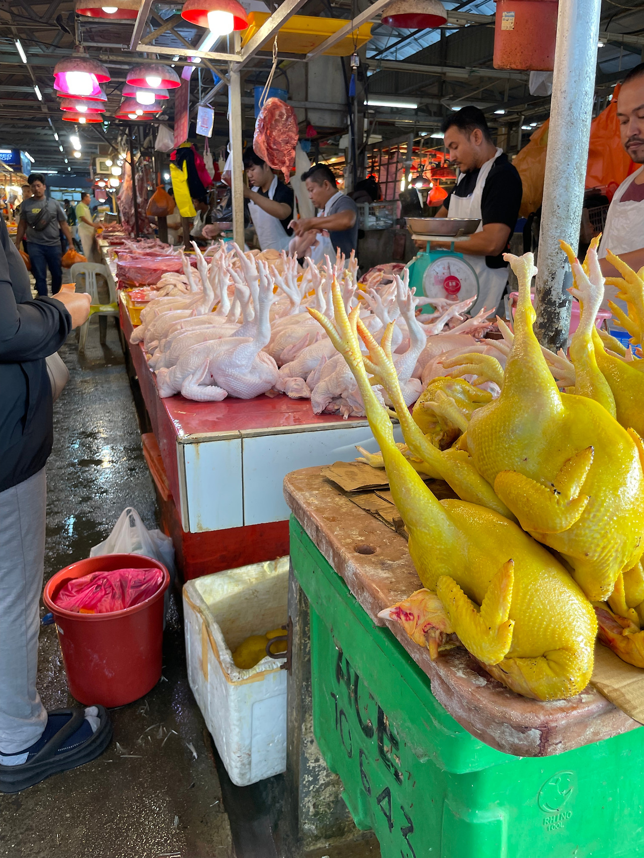 2024-12-14 08.01.22.jpg