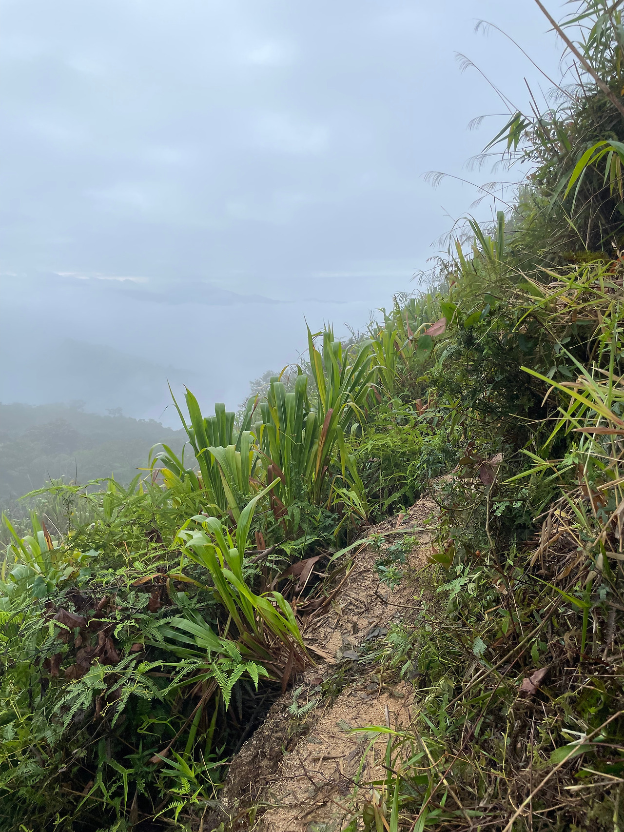 2024-12-22 08.36.51.jpg