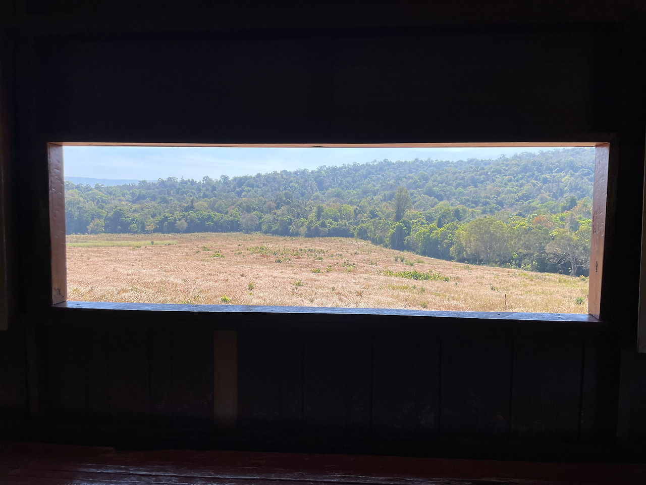 2025-01-13 12.47.37.jpg