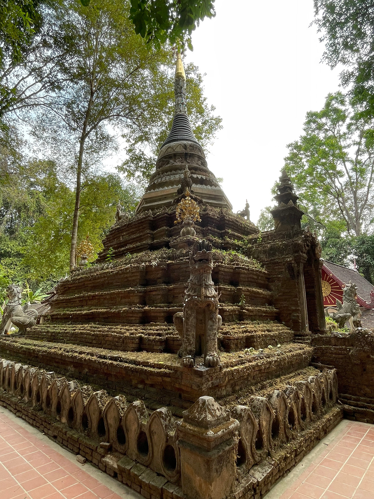 2025-01-28 09.41.39.jpg