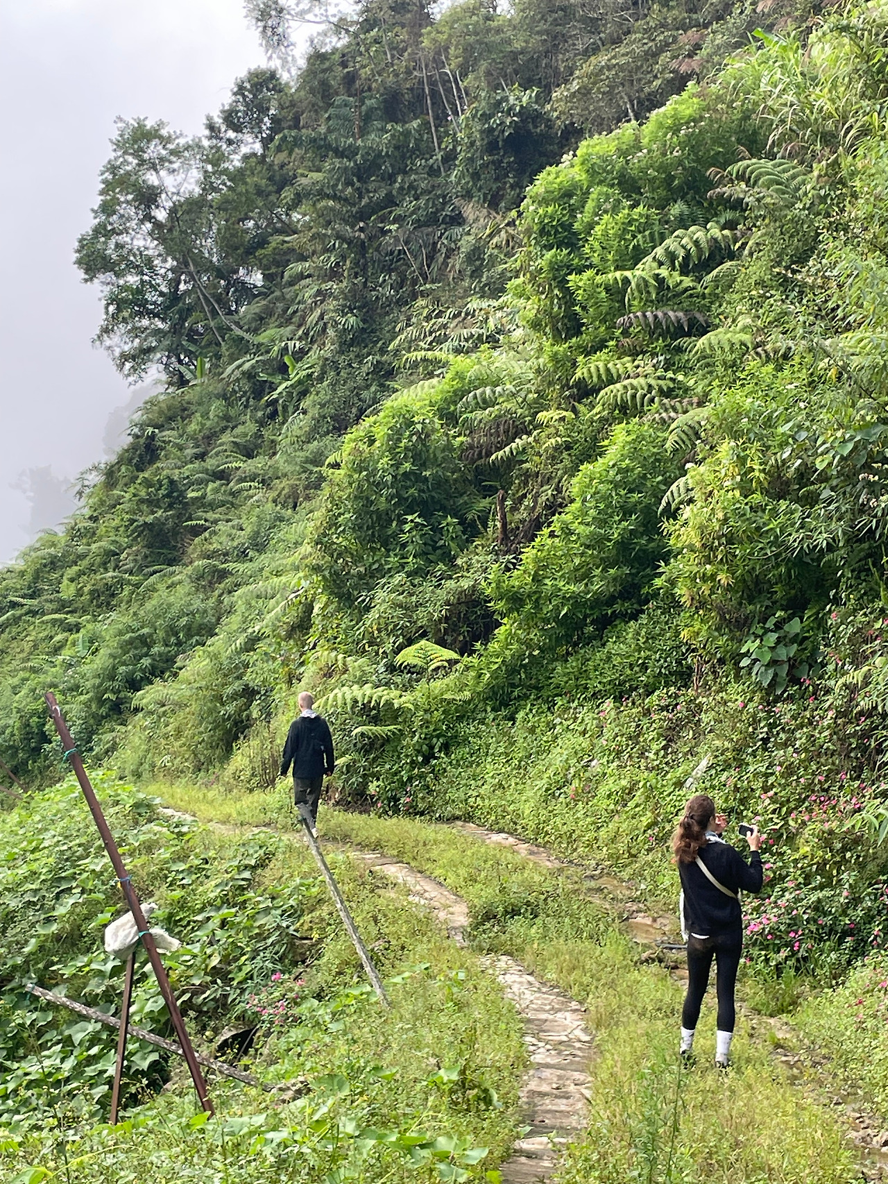 2024-12-22 09.25.57.jpg