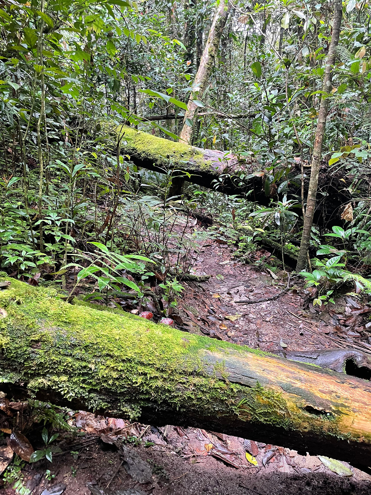 2024-12-23 10.07.55.jpg