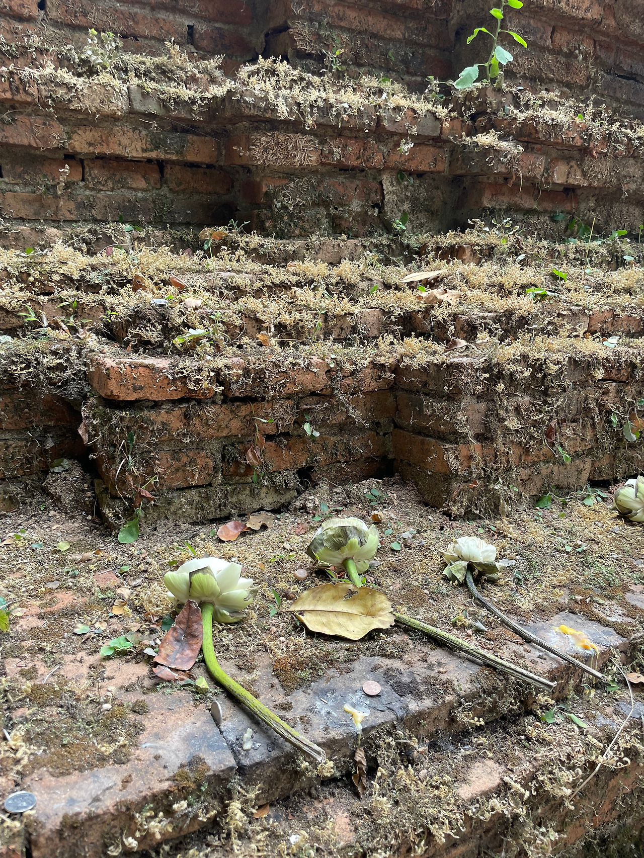 2025-01-28 09.41.24.jpg