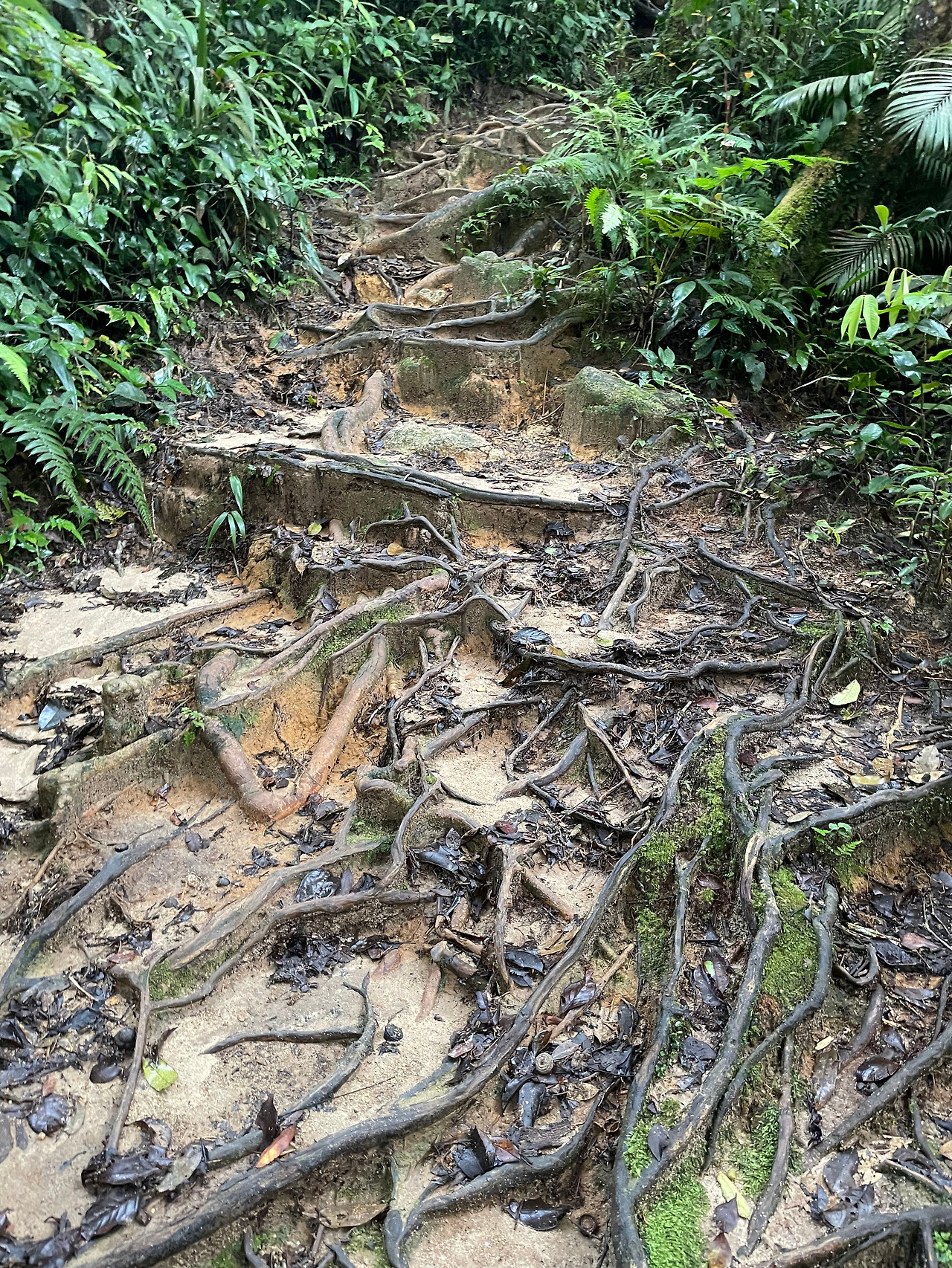 2024-12-22 08.15.42.jpg