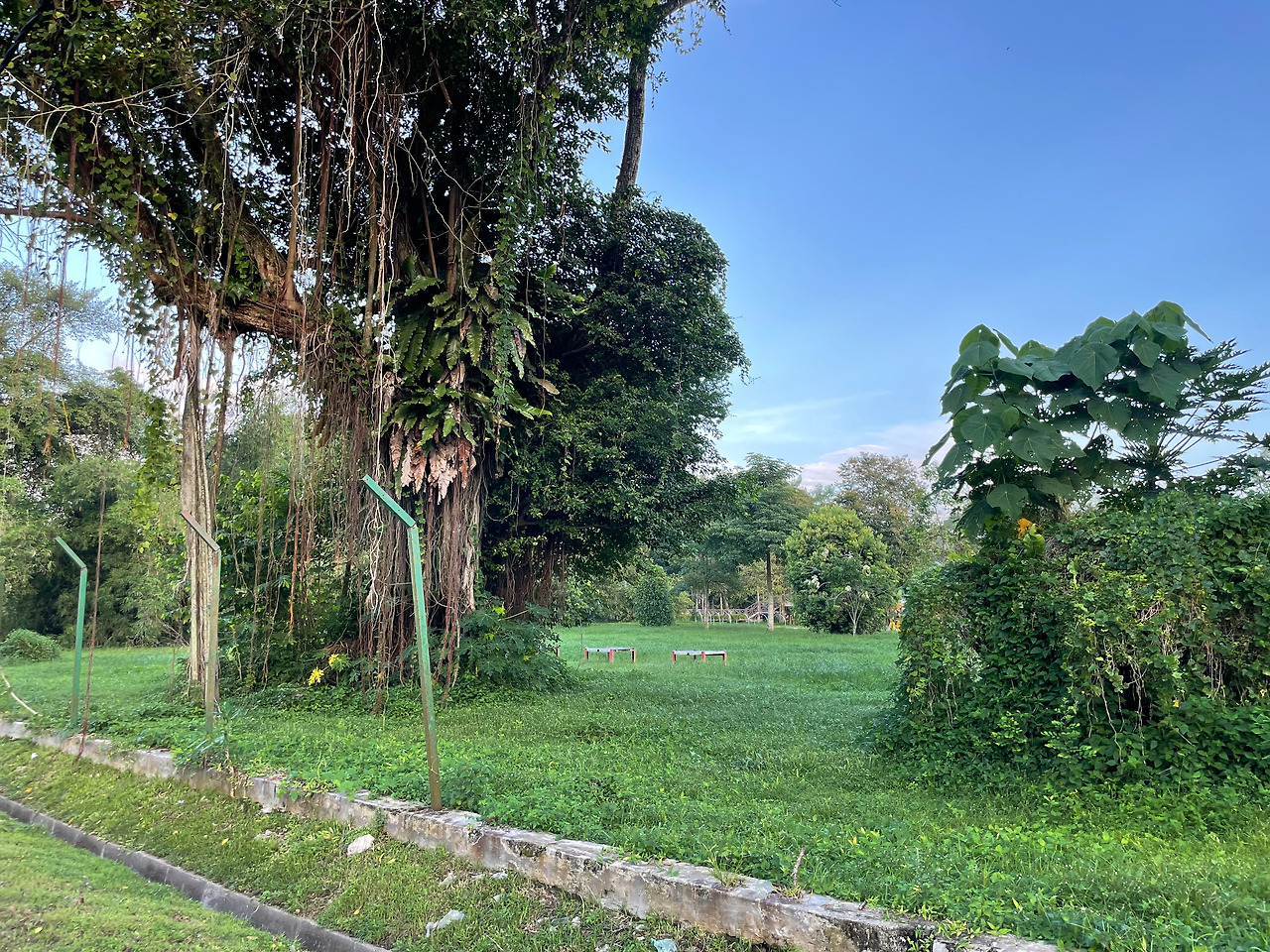 2024-12-19 08.00.41.jpg