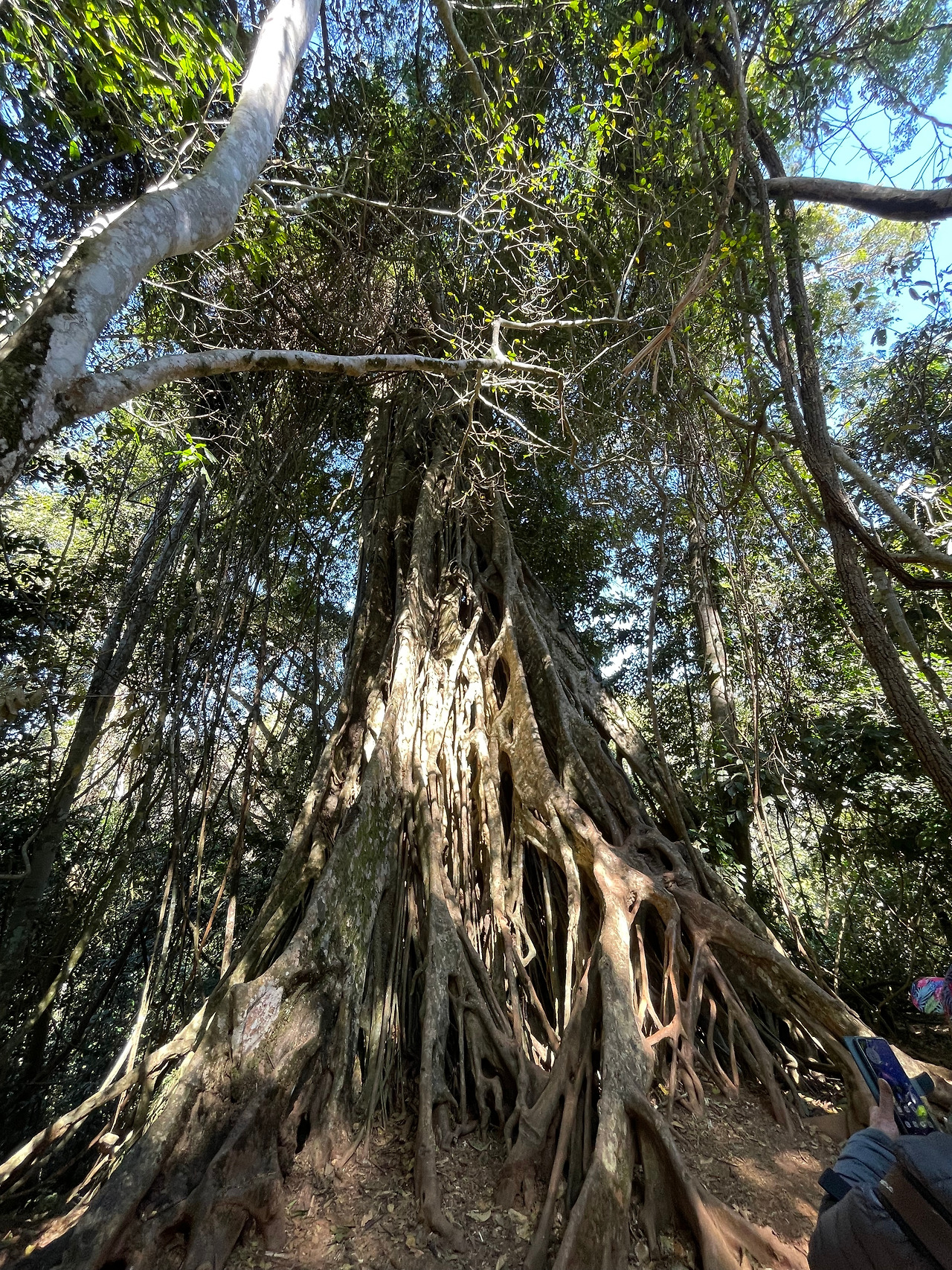 2025-01-13 11.36.25.jpg