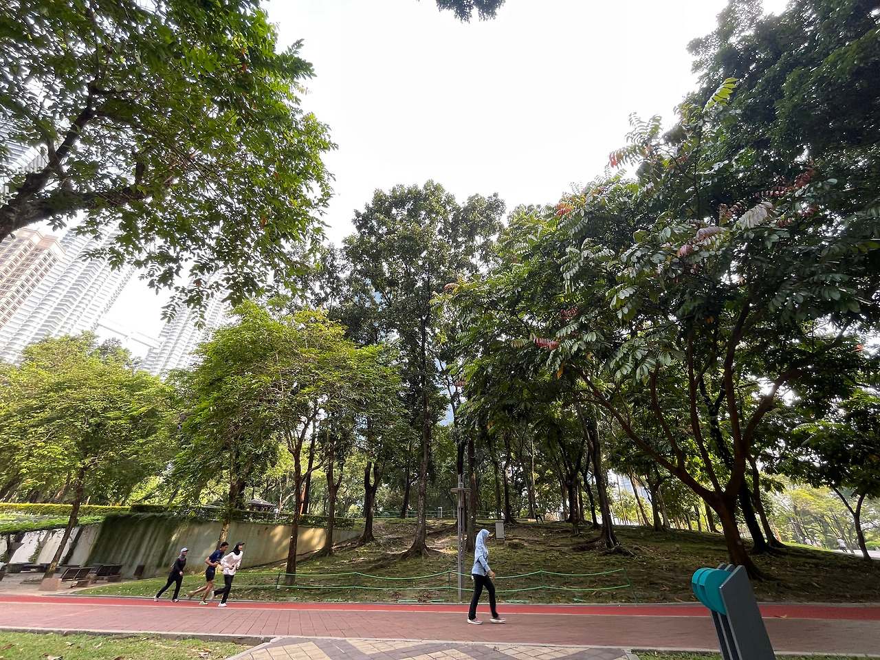 2024-12-15 10.26.55.jpg