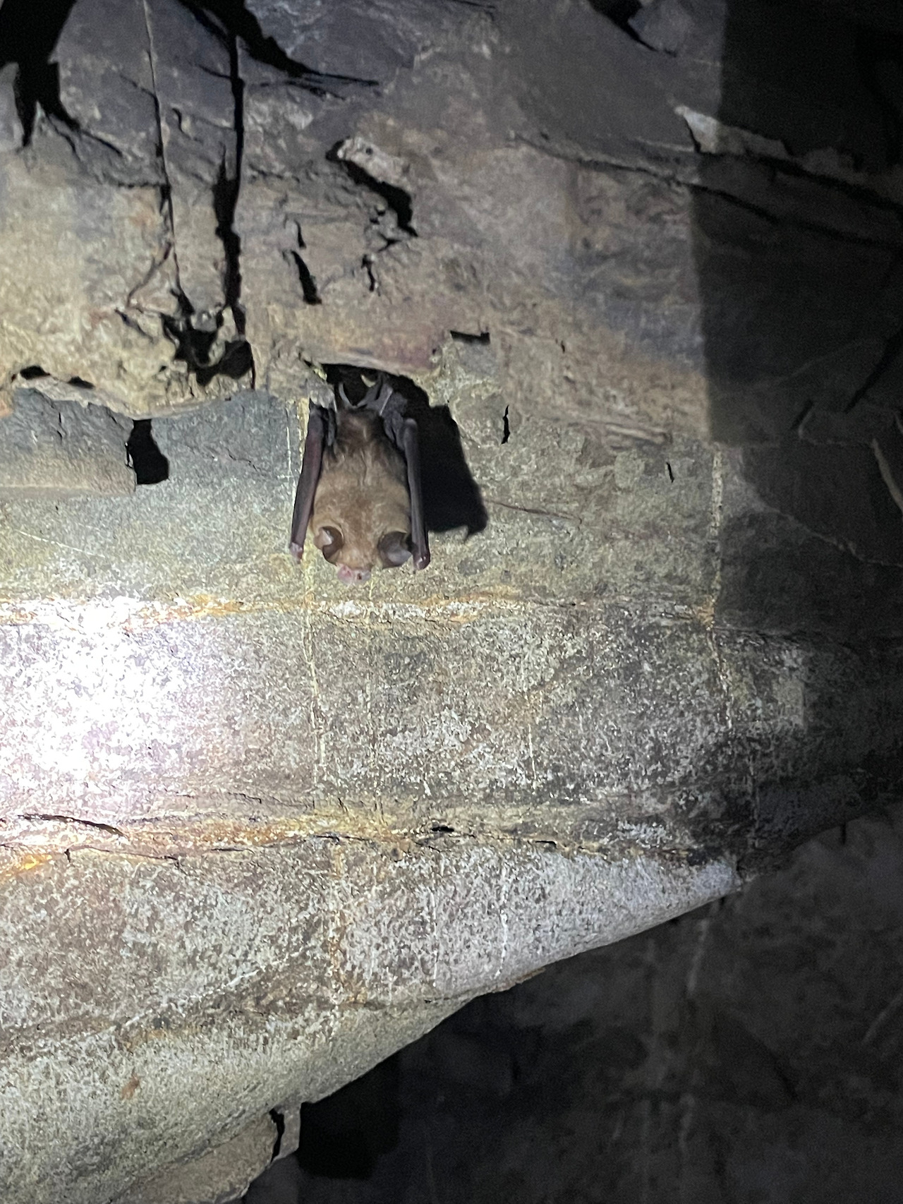 2025-01-14 17.12.55.jpg