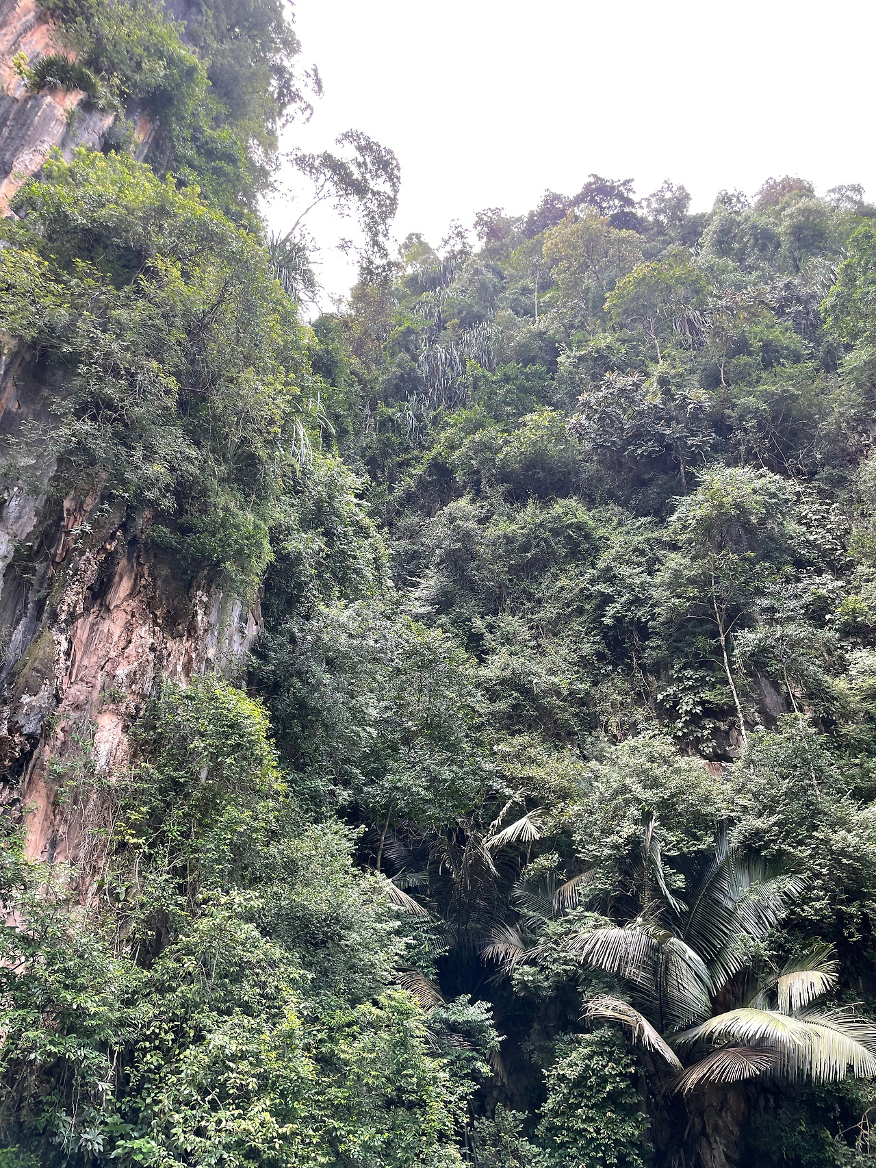 2024-12-18 12.07.42.jpg