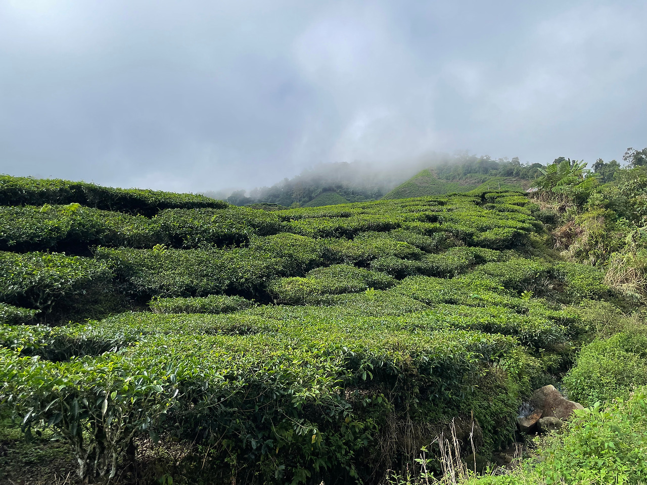 2024-12-22 10.13.22.jpg