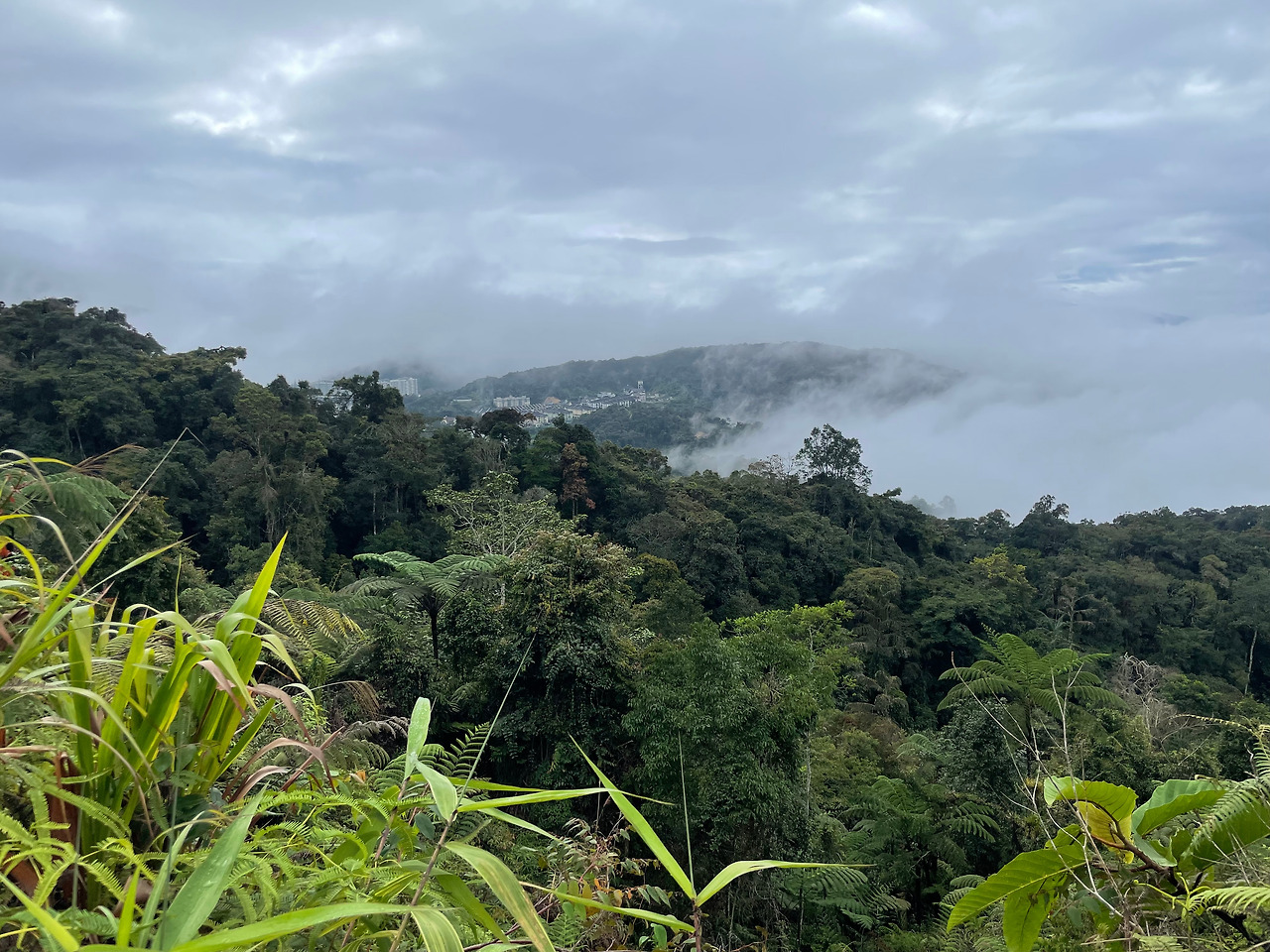 2024-12-22 09.05.50.jpg