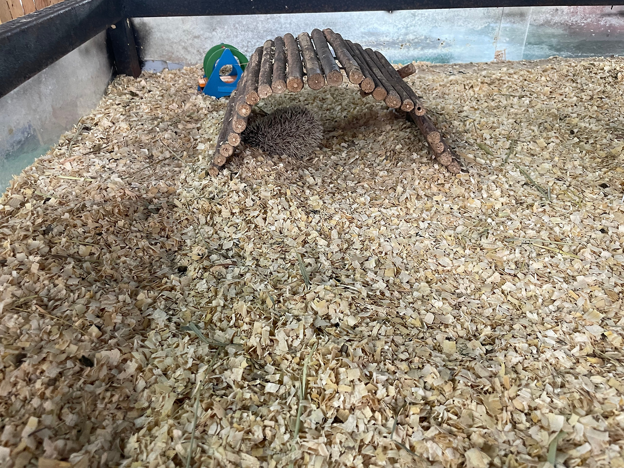 2024-12-19 11.29.24.jpg