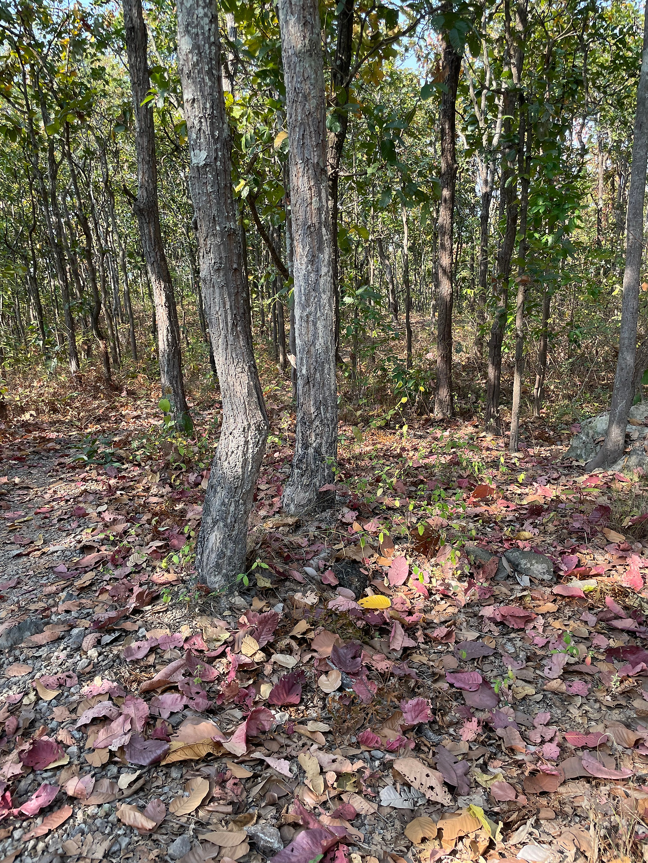 2025-01-29 10.24.01.jpg