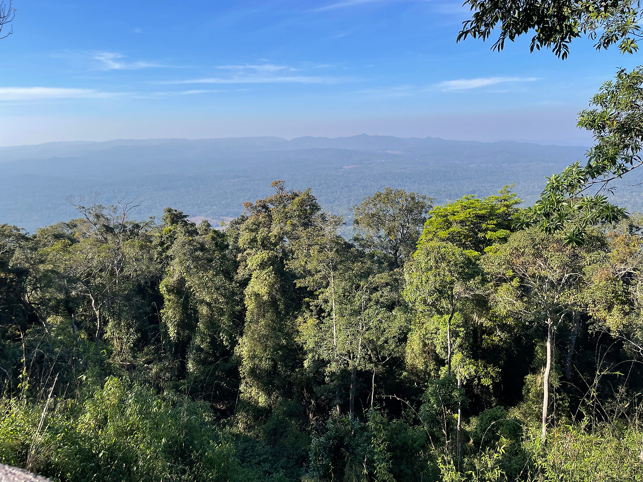 2025-01-13 15.48.09.jpg