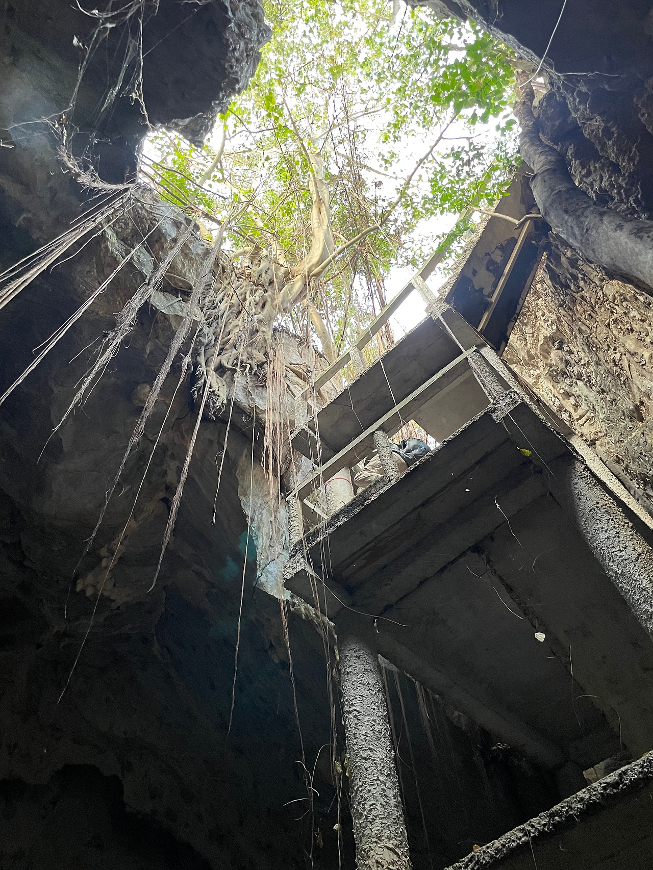 2025-01-14 16.48.41.jpg