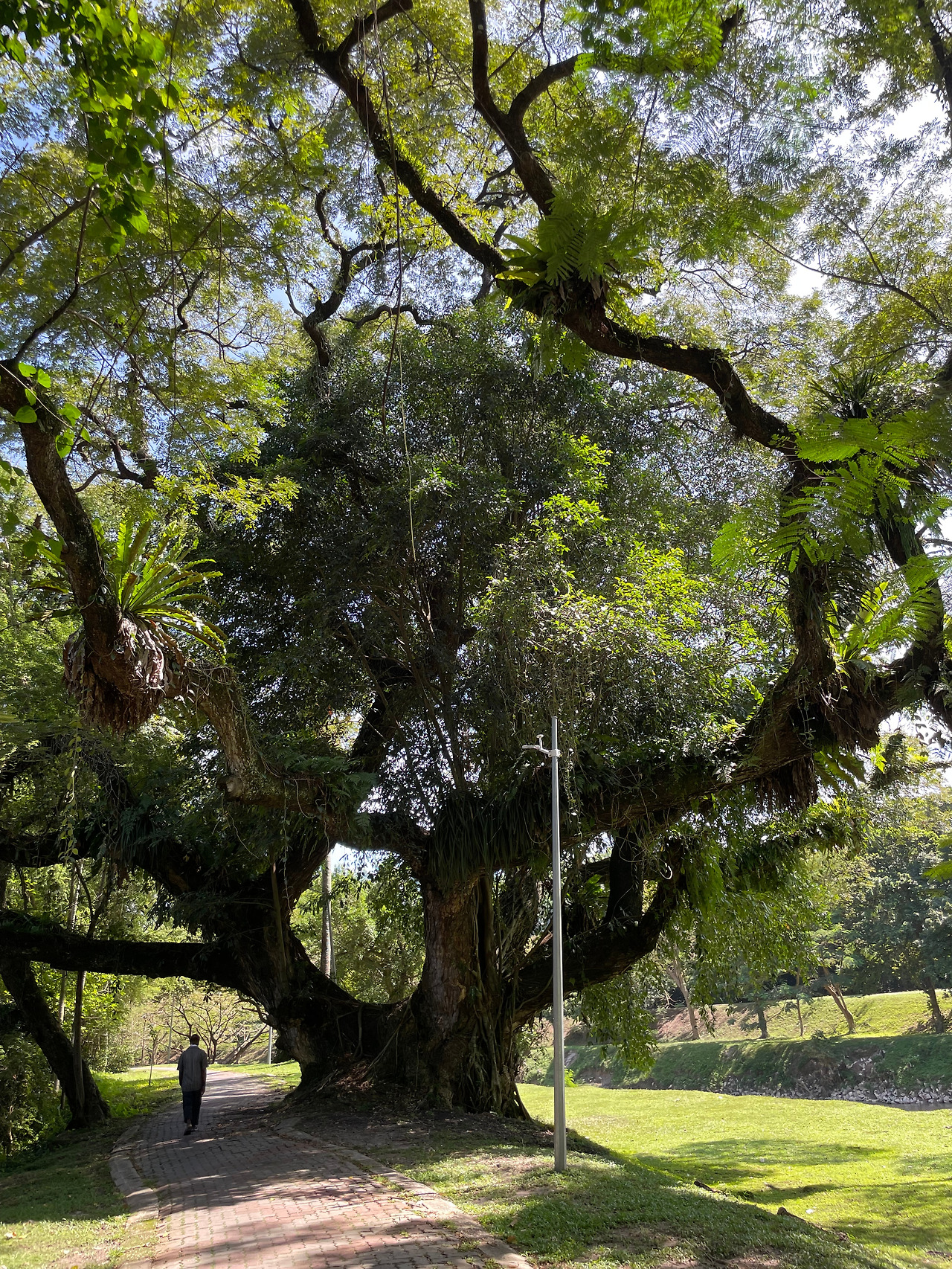 2024-12-19 12.21.30.jpg