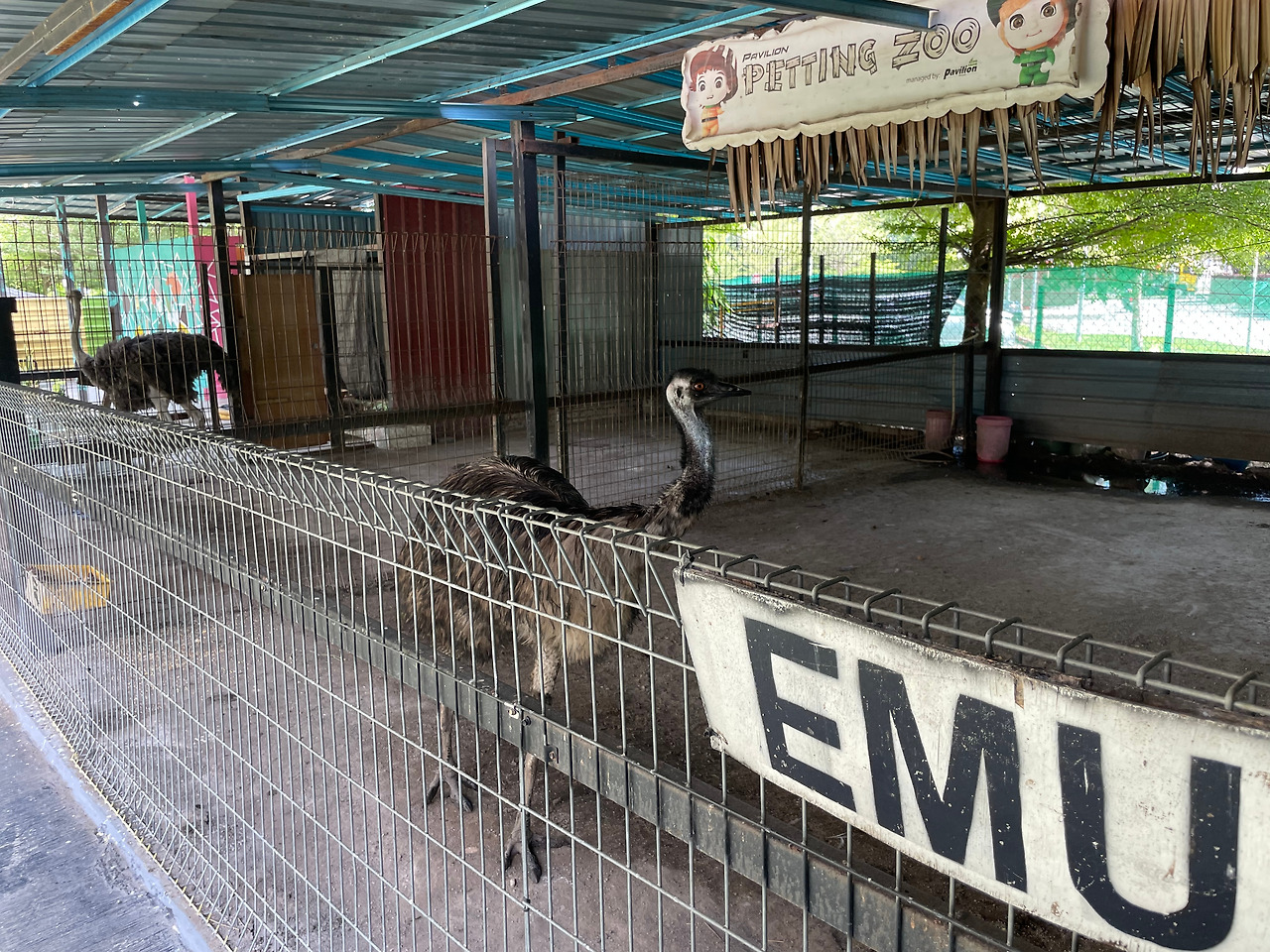 2024-12-19 11.21.06.jpg