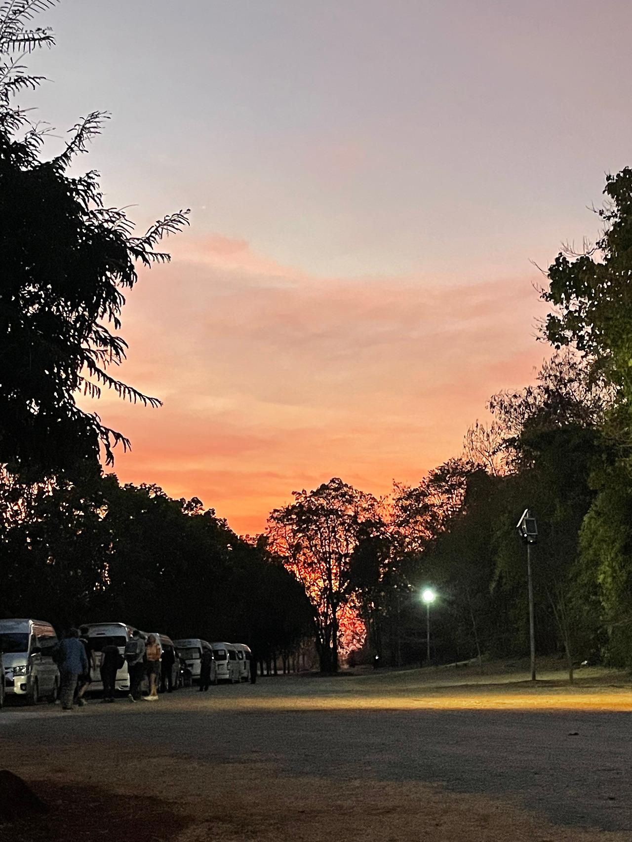 2025-01-14 18.21.09.jpg