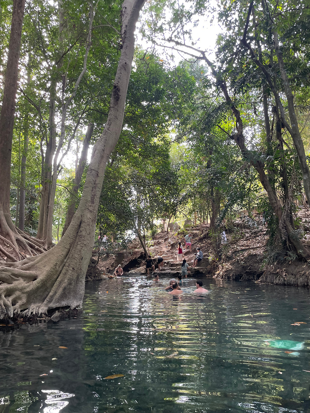 2025-01-14 15.39.52.jpg