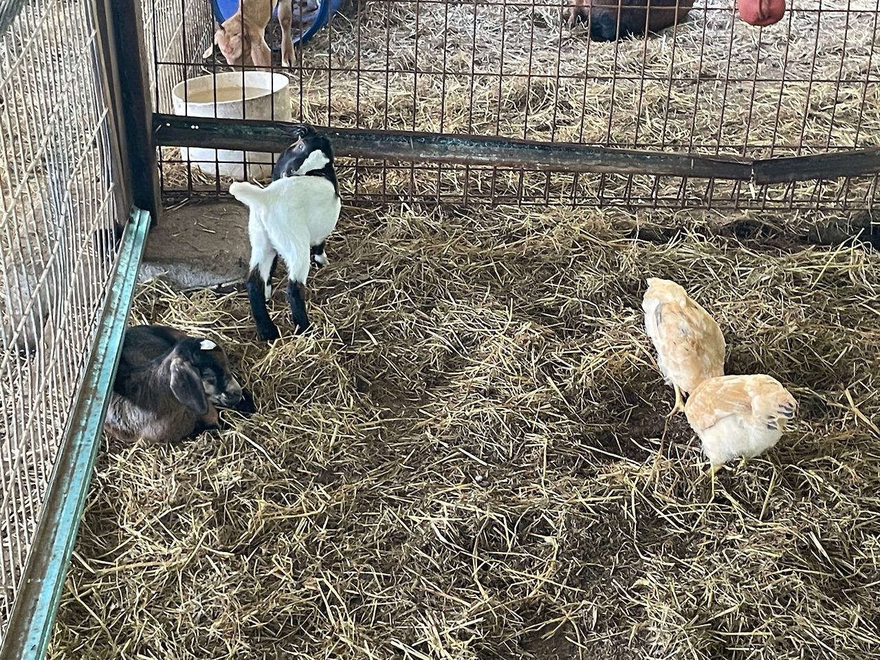 2024-12-19 11.22.22.jpg