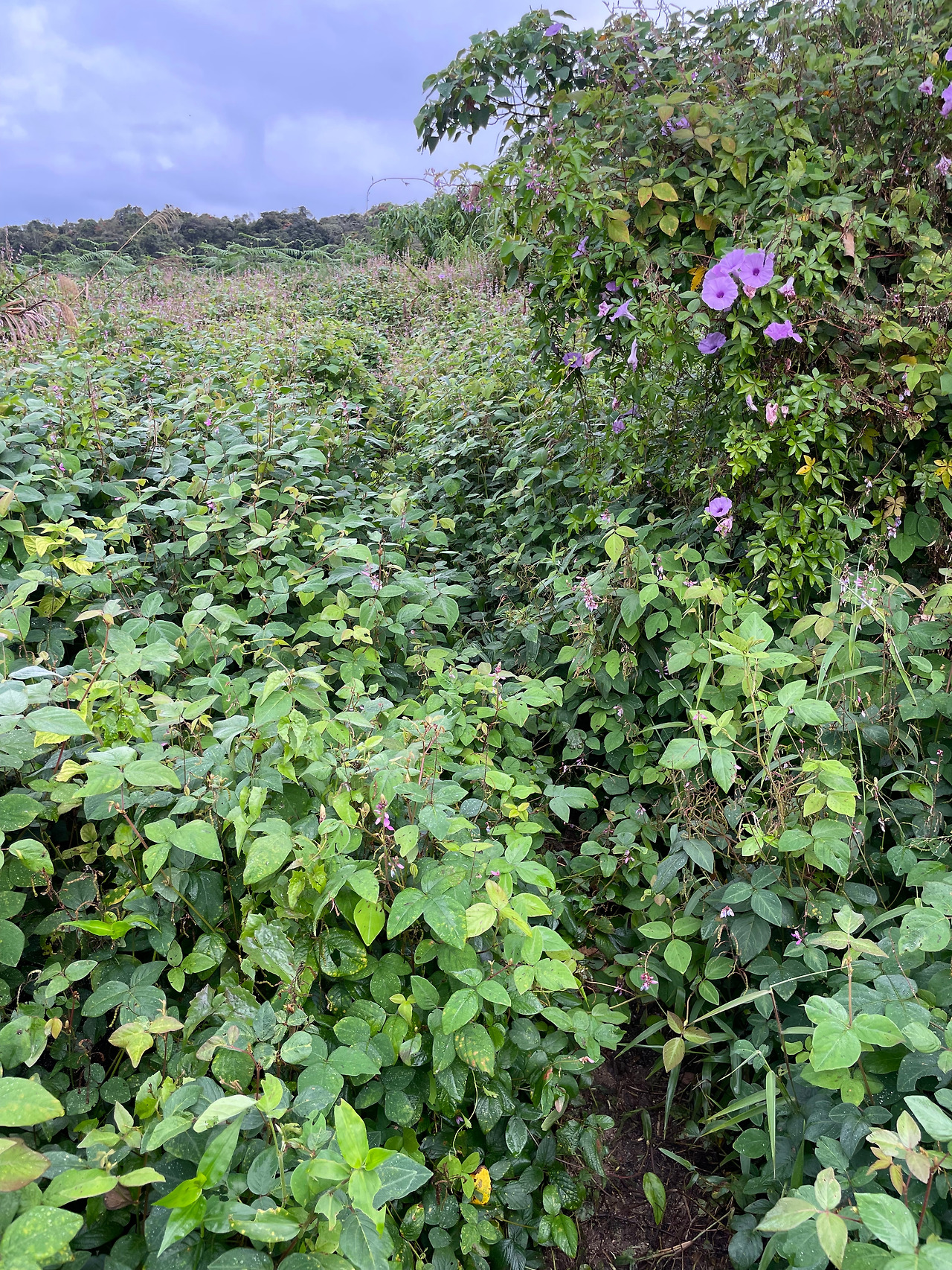 2024-12-23 09.34.36.jpg