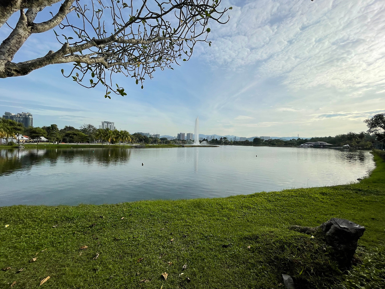 2024-12-14 08.37.57.jpg