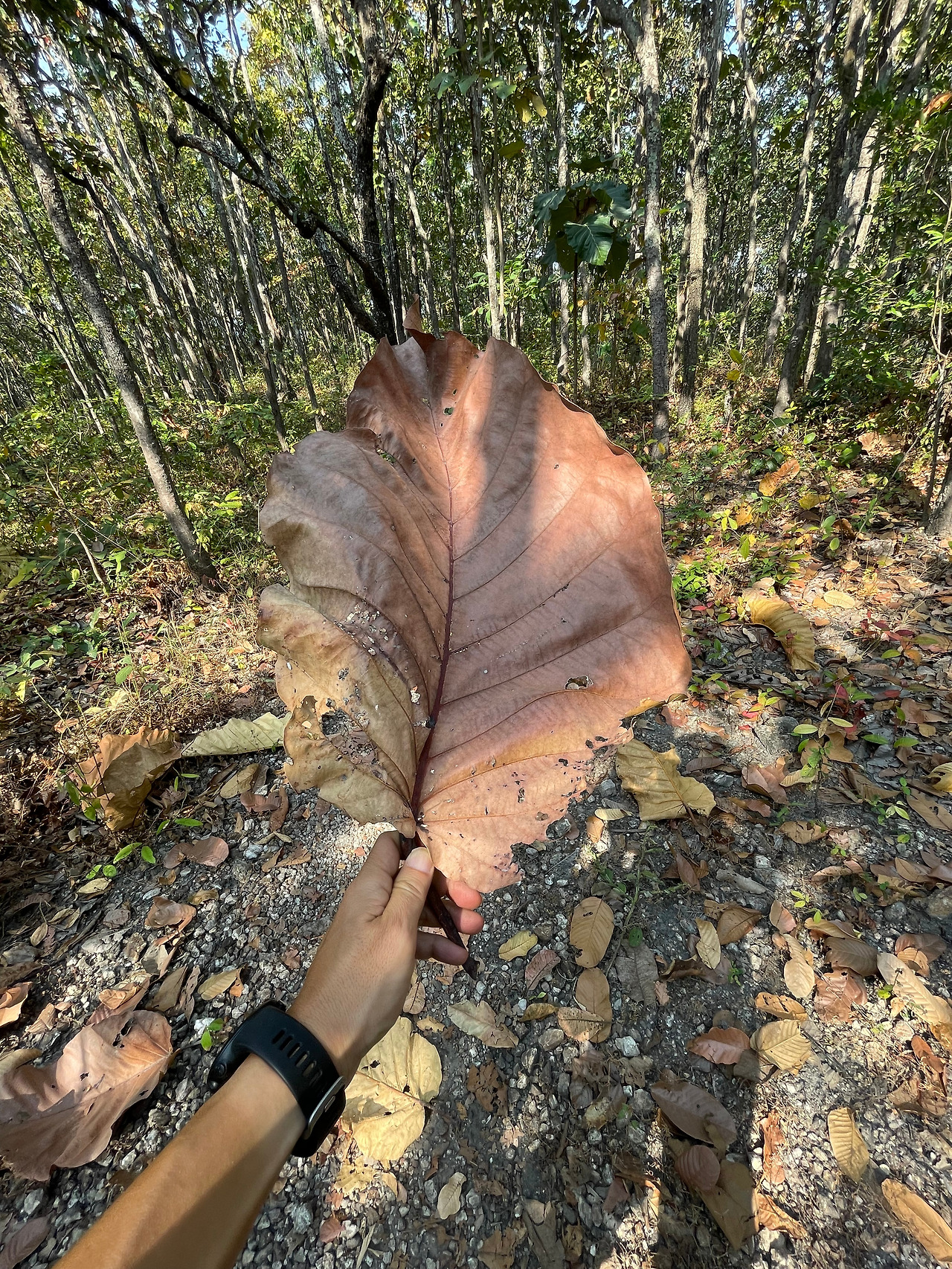 2025-01-29 10.39.29.jpg