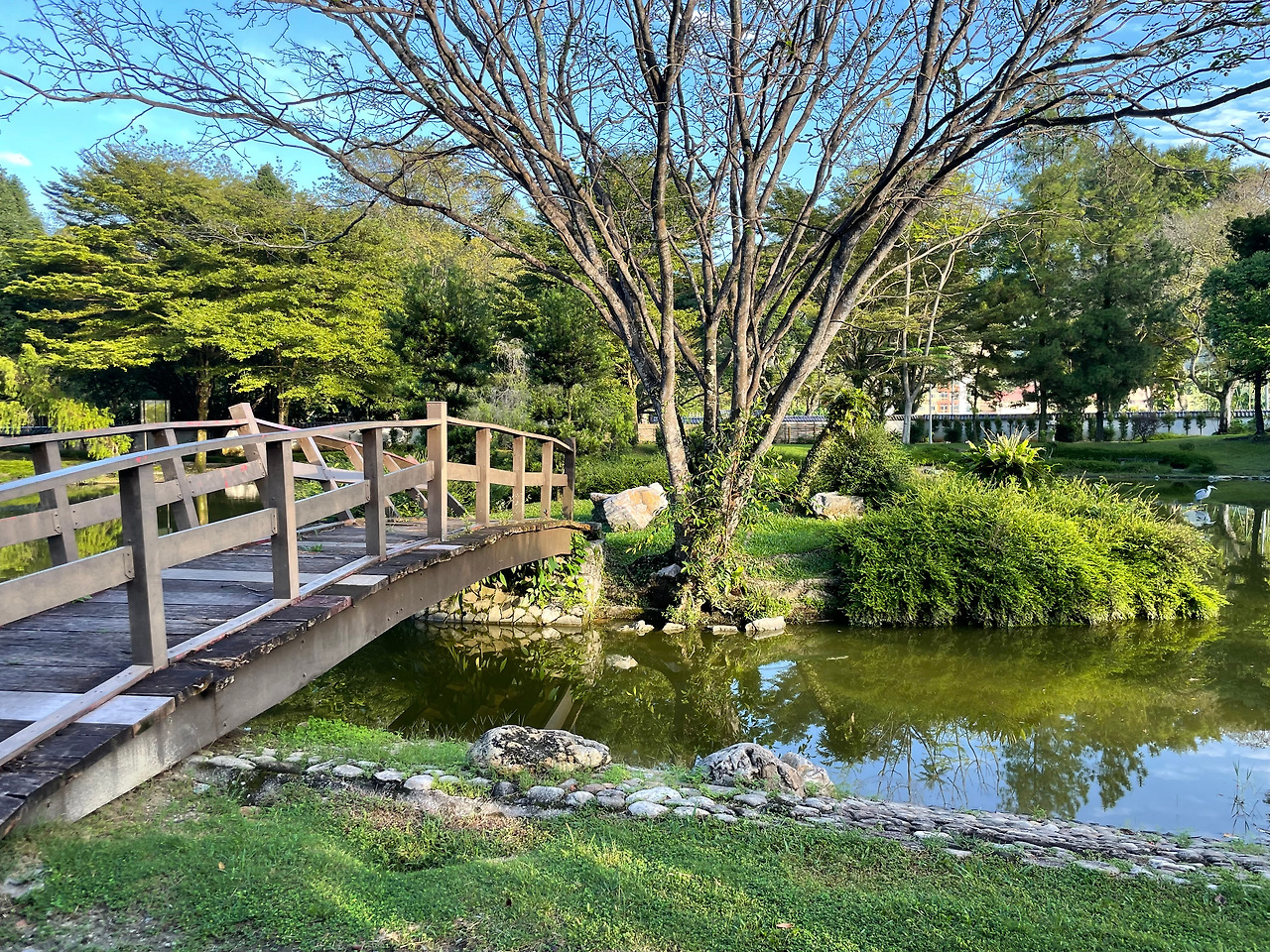 2024-12-19 08.30.23.jpg