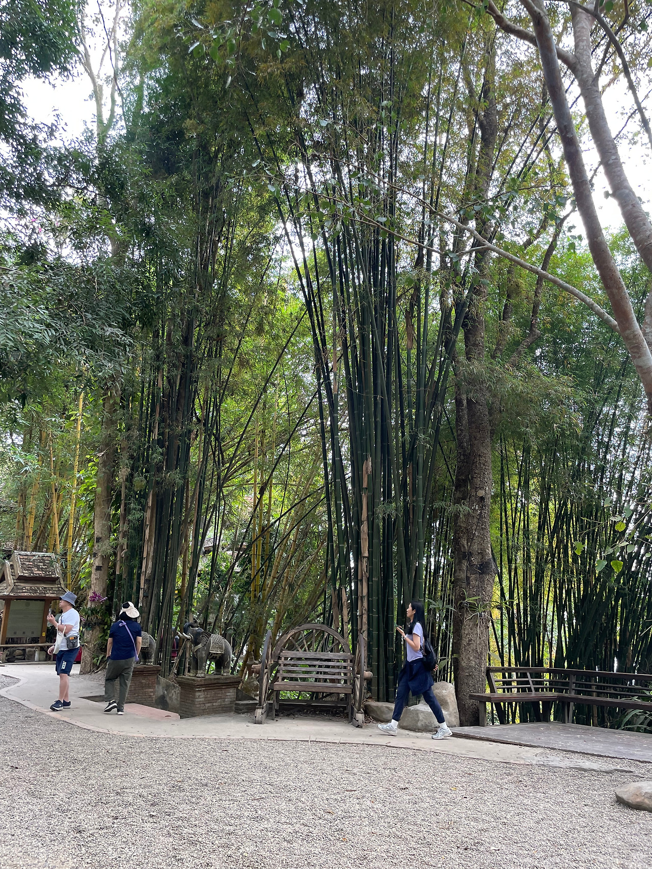 2025-01-28 09.36.09.jpg