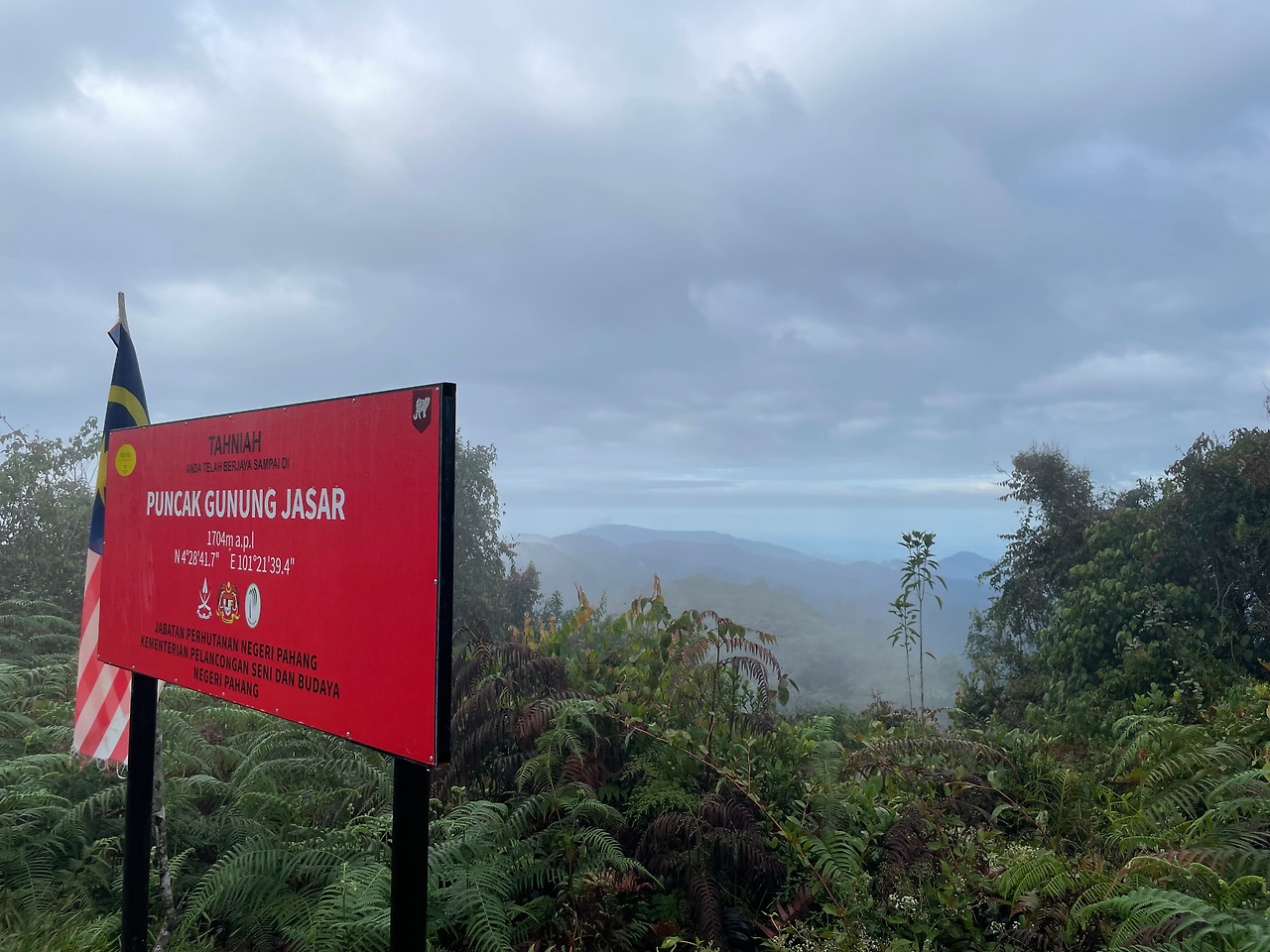 2024-12-22 08.42.59.jpg