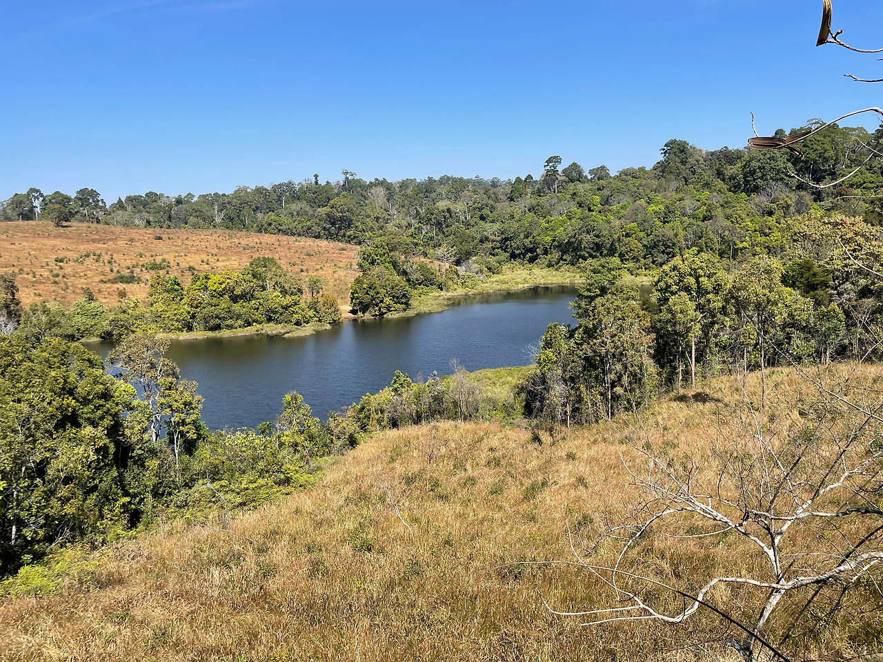 2025-01-13 12.43.03.jpg