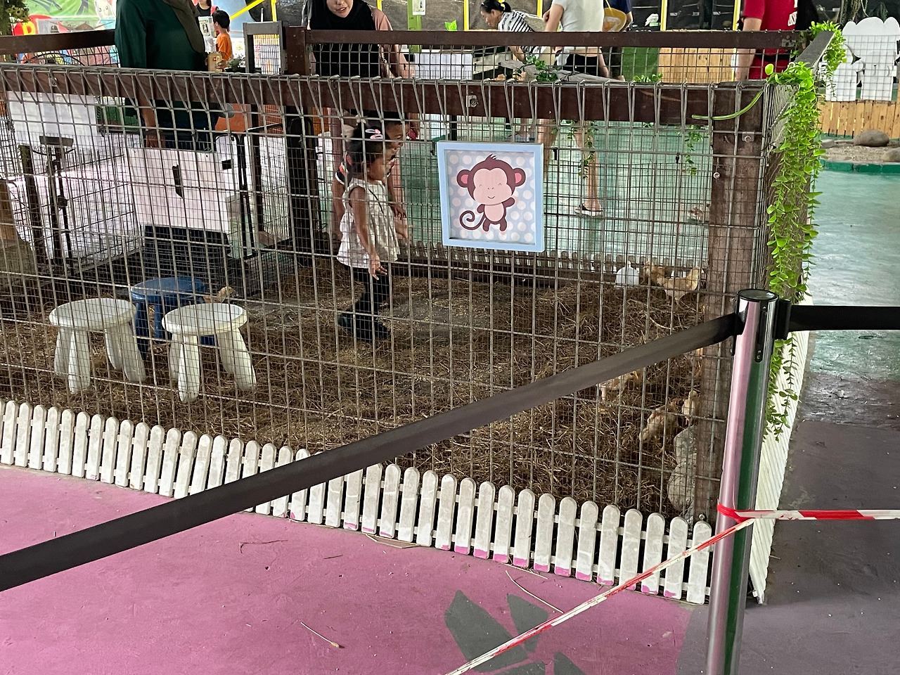 2024-12-19 11.20.28.jpg