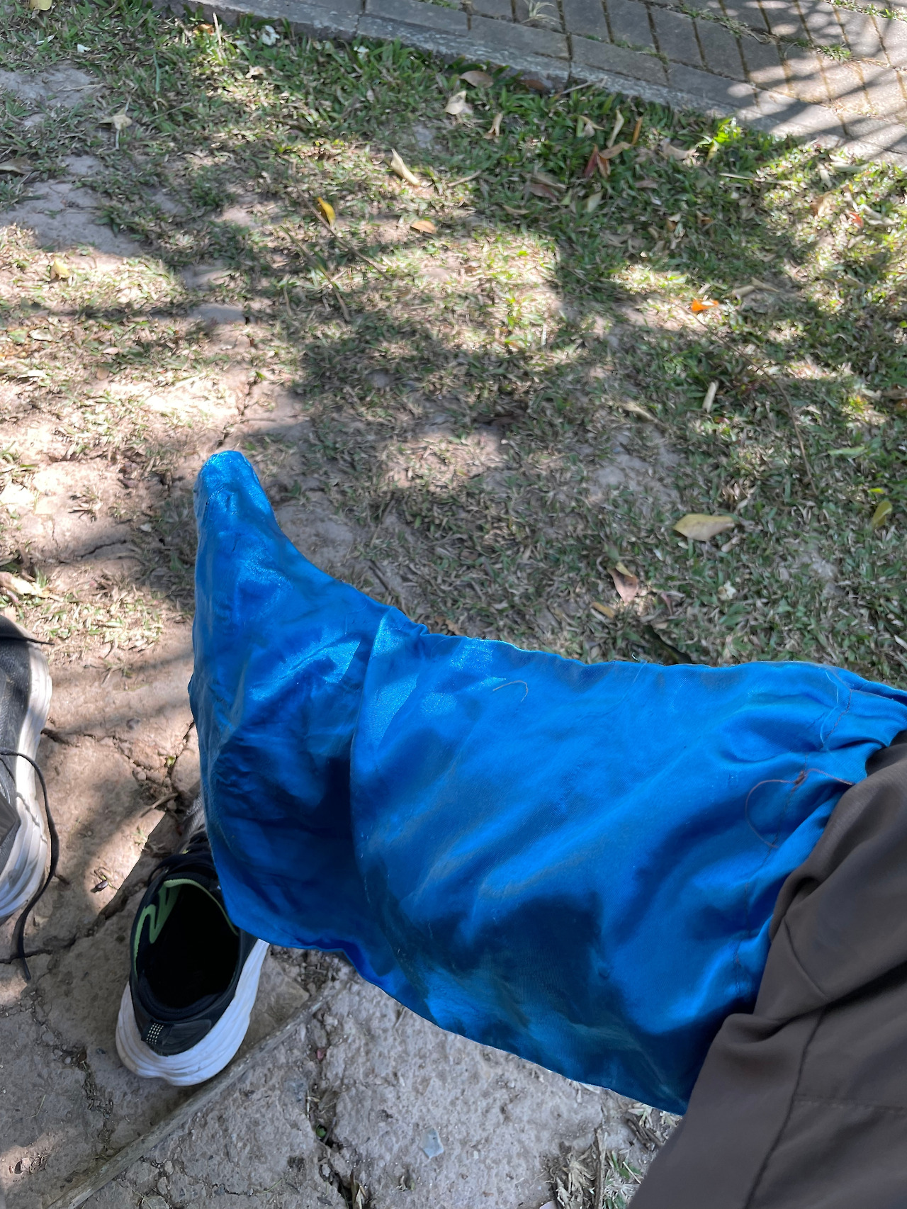 2025-01-13 10.33.46.jpg