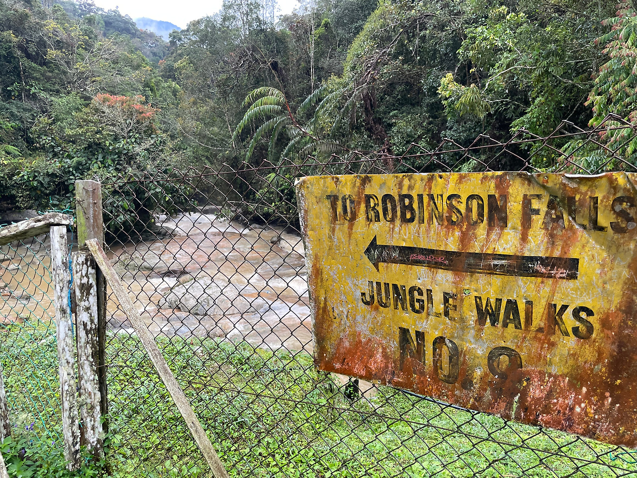 2024-12-23 08.00.20.jpg