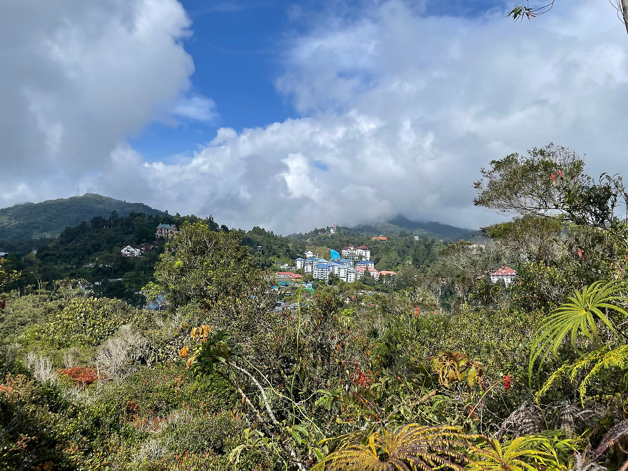 2024-12-23 11.02.22.jpg