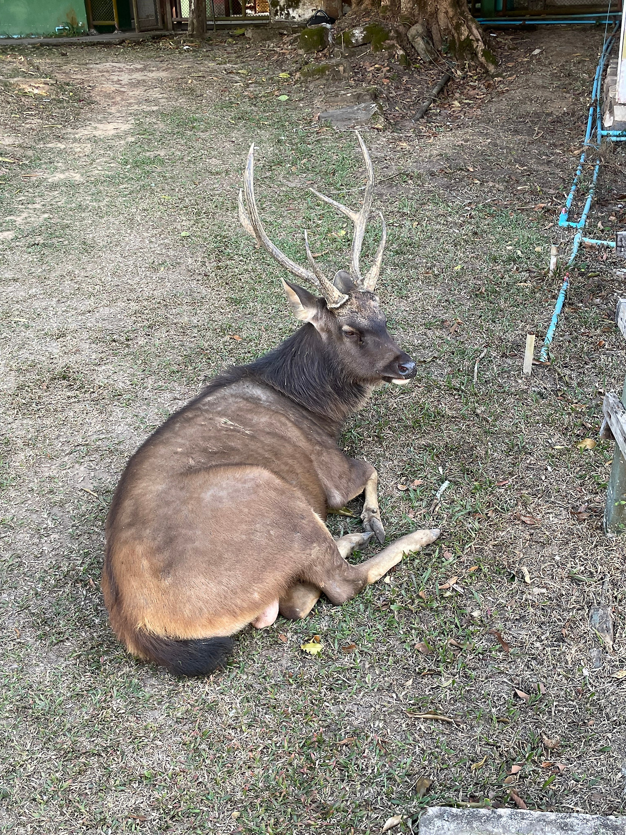 2025-01-13 15.24.03.jpg