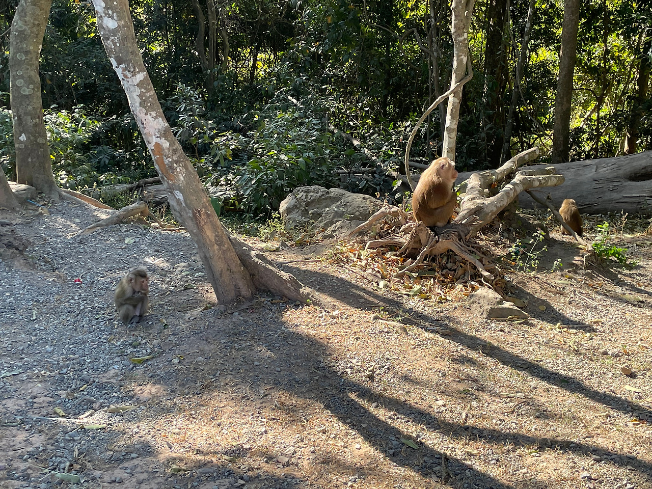 2025-01-13 09.05.22.jpg