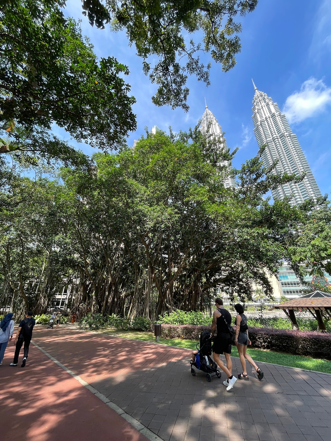 2024-12-15 11.13.14.jpg