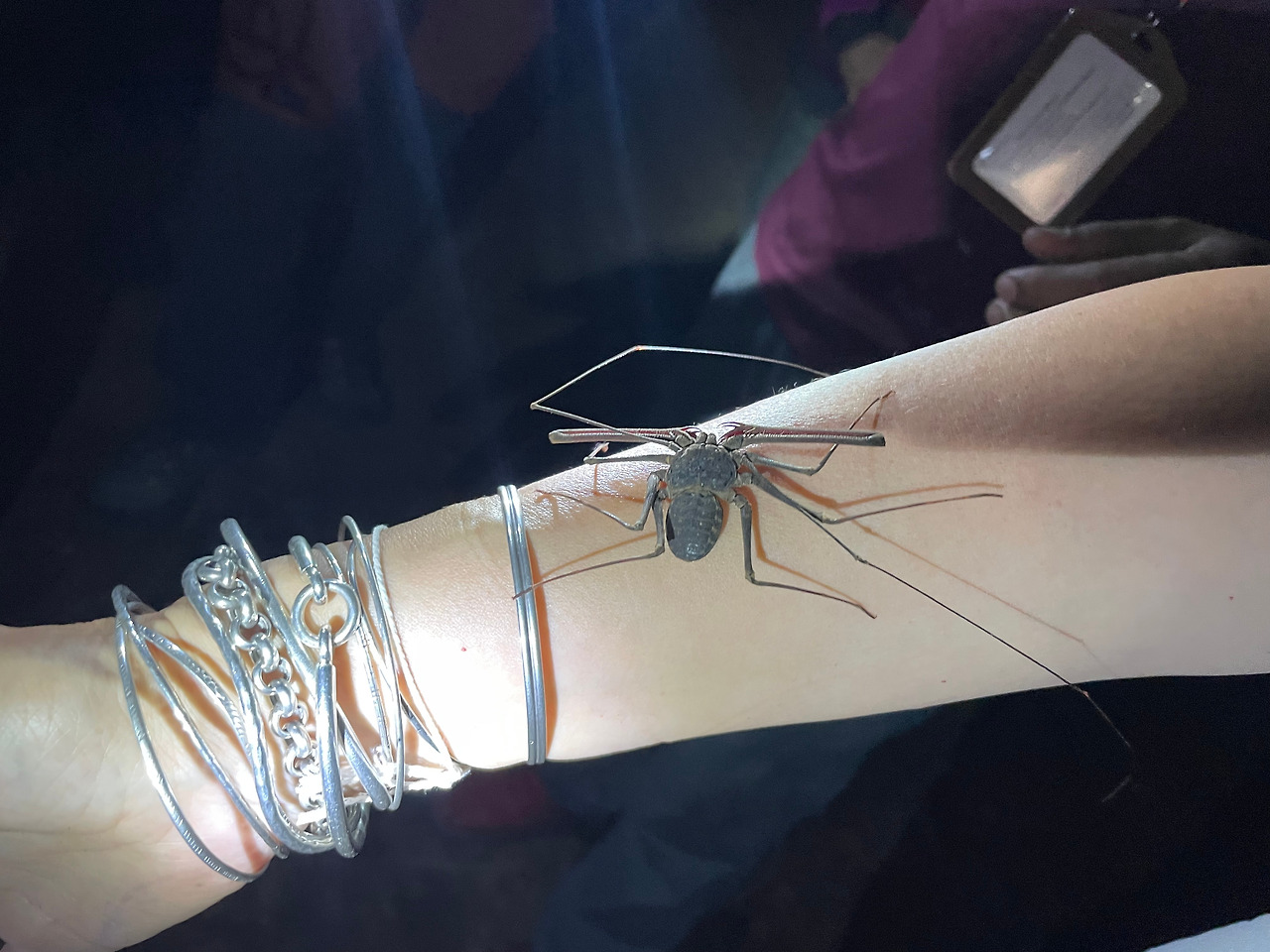 2025-01-14 17.01.07.jpg