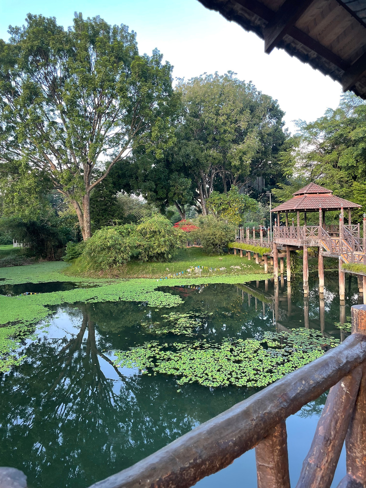 2024-12-19 08.08.39.jpg